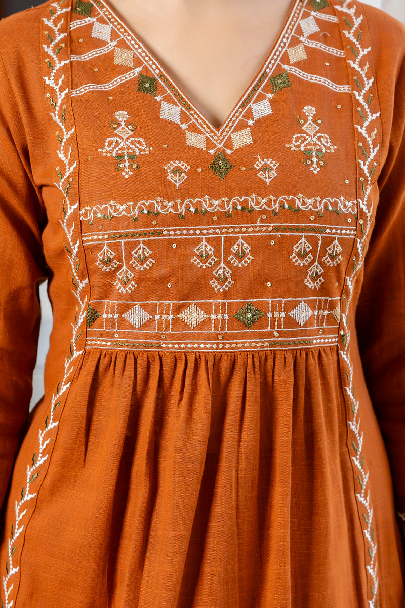 EthniFlair Ethnic Motifs Embroidered Pleated Aari Work Kurta Set